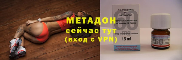 прущие грибы Беломорск