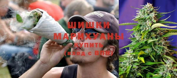 прущие грибы Беломорск