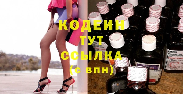 прущие грибы Беломорск