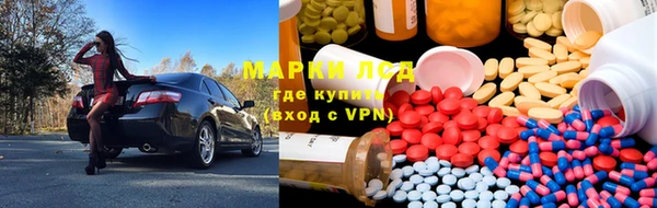 прущие грибы Беломорск