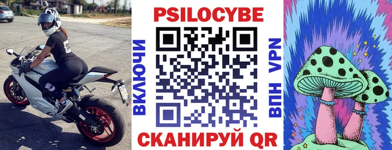 закладки  Высоцк  Псилоцибиновые грибы Cubensis 